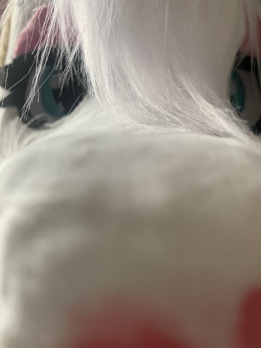 zoethehonse's tweet photo. POV: you are a apple https://t.co/Nhb8U5iMZF