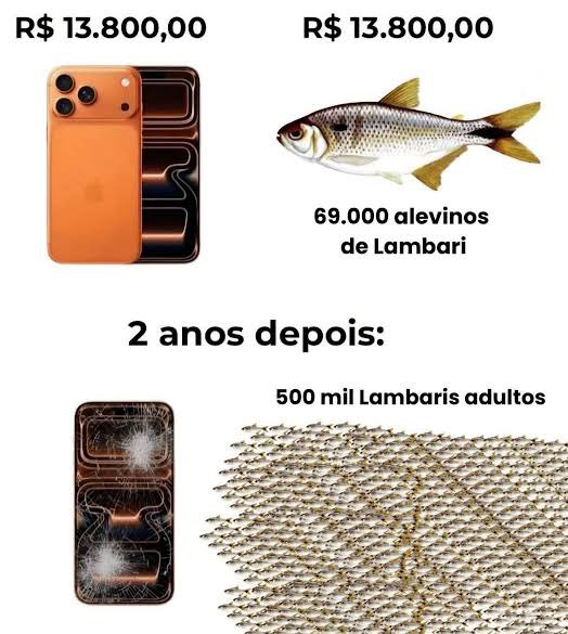 mateiformiga's tweet photo. 🐟 https://t.co/4QrnQKF572