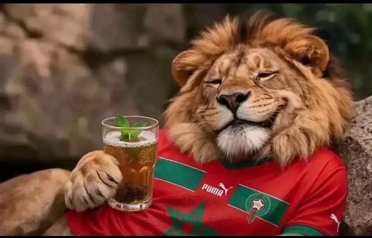 straanger00's tweet photo. @TrollFootball2 https://t.co/YKmOoRctlA