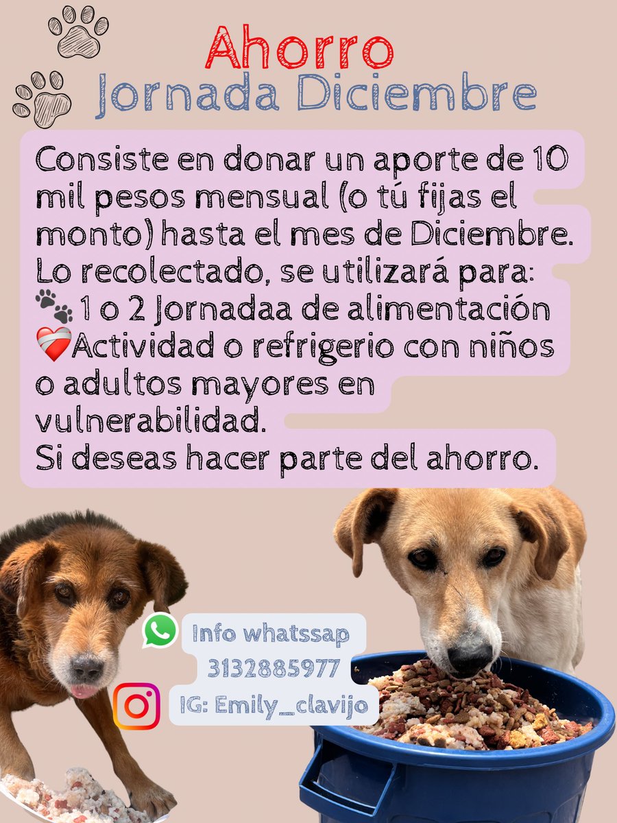 Mily_Clavijoo's tweet photo. Voy hacer una dinámica muy linda y como ya lo he comprobado en esta red tengo a la gente correcta, denle Rt a este post PORFAAAAA
Las personas que quieran hacer el ahorro dejen un comentario o escriban al número🥹💖 Les juro que no se van arrepentir nunca 🙏🏻 https://t.co/F38ptfbINw
