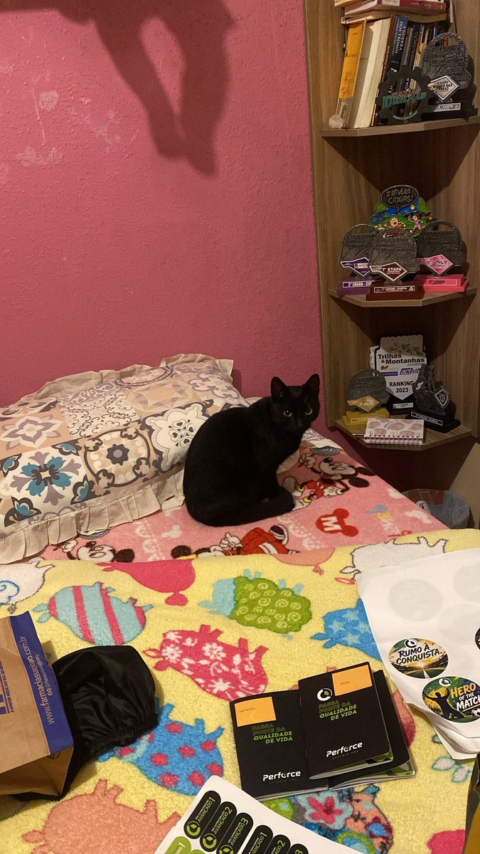 jadecolorada's tweet photo. @UmFilosofoCitou Gatinha do vizinho na minha cama 🥹 https://t.co/LQF7cjcQi8