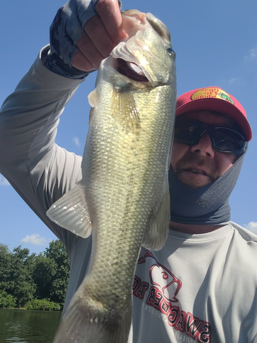 BourbonNBass73's tweet photo. Caught 21 this evening, mostly little rats. #bass #bassfishing #largemouthbass #southernillinois #itshot https://t.co/rvSpdkClzf