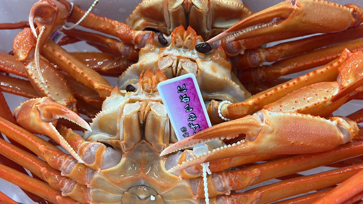 notohongo's tweet photo. 本日のなんでもセット
カニが喰いたい　お客様
＆
変わった、美味しい魚を…  お客様
　　　　　　GO! https://t.co/PTceS6lFT0
