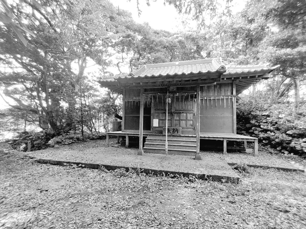 HOOD19302060's tweet photo. 磯原駅からの海岸沿い。天妃山より。山というより海岸にそびえる岩山である。
うっそうと繁る神社杜から眺める海岸は海鳴りが響く。眼下に広がる磯の風景が心地よい。しかし、じわりと湿る草茂る岩場には無数のイワガニに潜み、私の挙動を伺う。陸生の蟹は不気味で好きにはなれない。 https://t.co/JchTJqxaHh