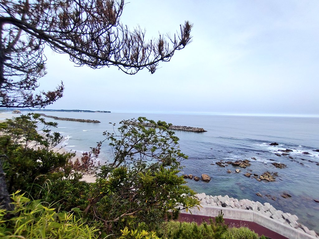HOOD19302060's tweet photo. 磯原駅からの海岸沿い。天妃山より。山というより海岸にそびえる岩山である。
うっそうと繁る神社杜から眺める海岸は海鳴りが響く。眼下に広がる磯の風景が心地よい。しかし、じわりと湿る草茂る岩場には無数のイワガニに潜み、私の挙動を伺う。陸生の蟹は不気味で好きにはなれない。 https://t.co/JchTJqxaHh