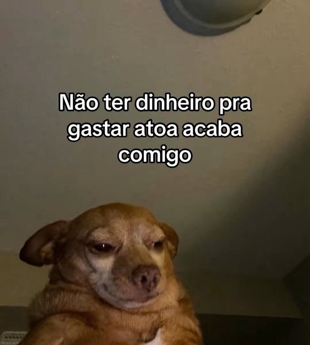 tonsdeverso's tweet photo. tópico sensível… https://t.co/1LZYOfkXHL