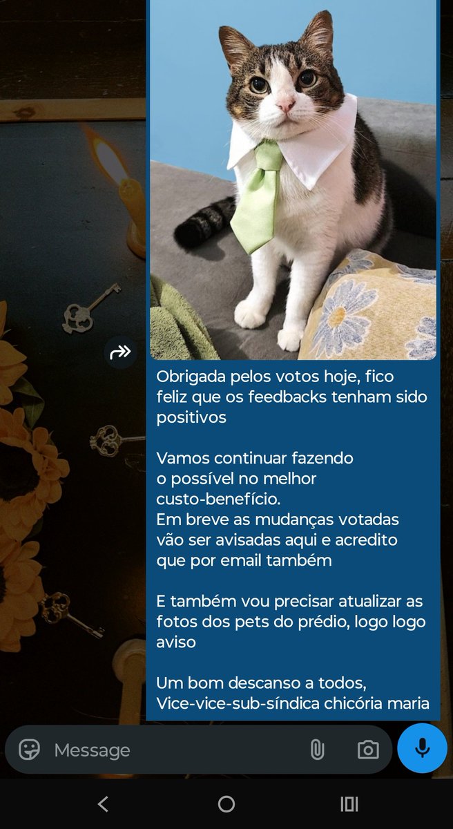 piscci's tweet photo. Venci pela segunda vez com 100% dos votos presentes pra continuar sendo síndica 

A ocasião exigia roupa formal pro informe de agradecimento no grupo do condomínio https://t.co/y1iRkXPFdC