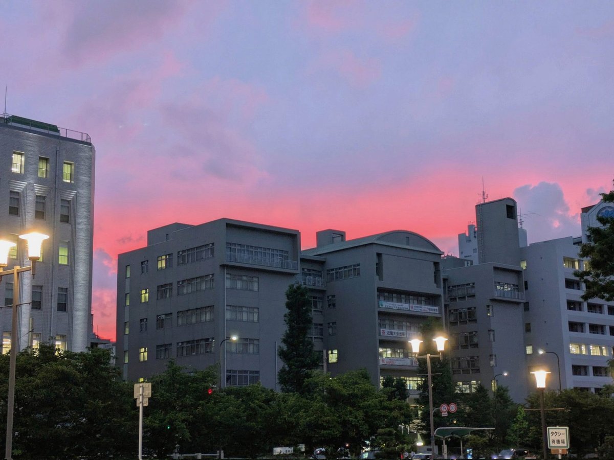 MonolithPicture's tweet photo. 政治学のオンデマンド一回でアニメ5本見れ得るからおかしい https://t.co/hfzkr7oLOL