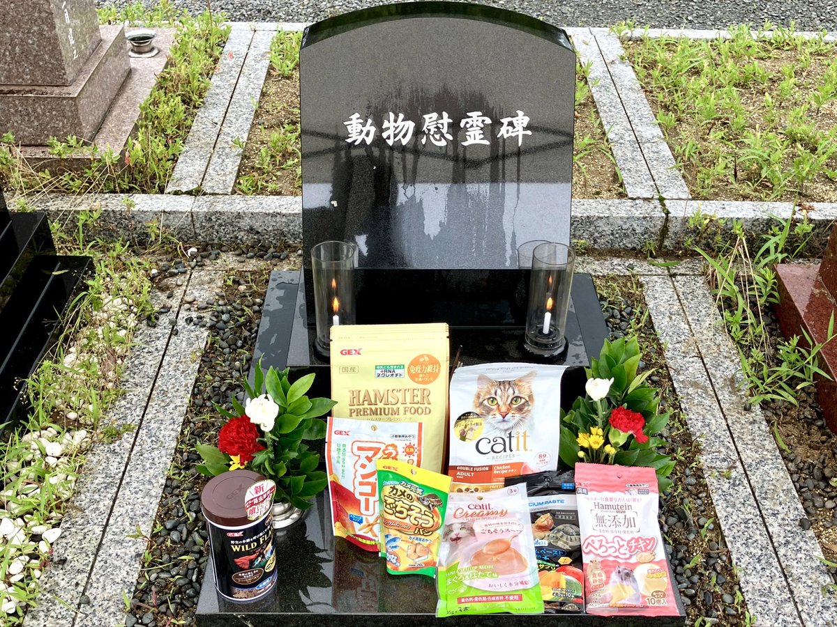 gex_exoterra's tweet photo. 7月7日の49年目の設立記念日を控えた本日、今年も創業者をはじめ、役員や幹部、社員の代表が集まり、当社の動物慰霊碑を参拝いたしました。

たくさんのいきものたちへの感謝の気持ちを忘れることなく、これからもすべてのいきものとの幸せな暮らしに寄り添う商品作りに邁進してまいります。 https://t.co/AclYOXhNzR