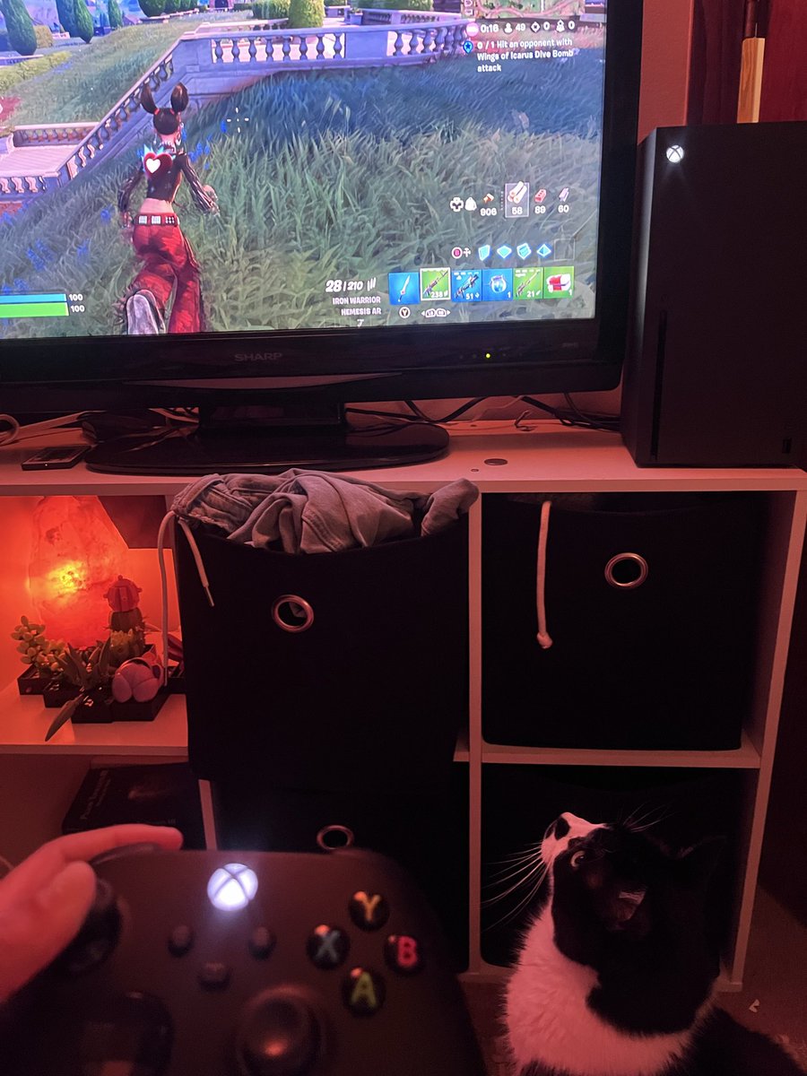 jadalynjoness's tweet photo. Fortnite!! Here is my #DesignASprite submission! This is Charlie, my 15 year old cat who has loved to watch me play Fortnite since 2020! He is sadly getting put down next week, and would love to have him in the game in memorial :)) https://t.co/7CZIAhoR7y