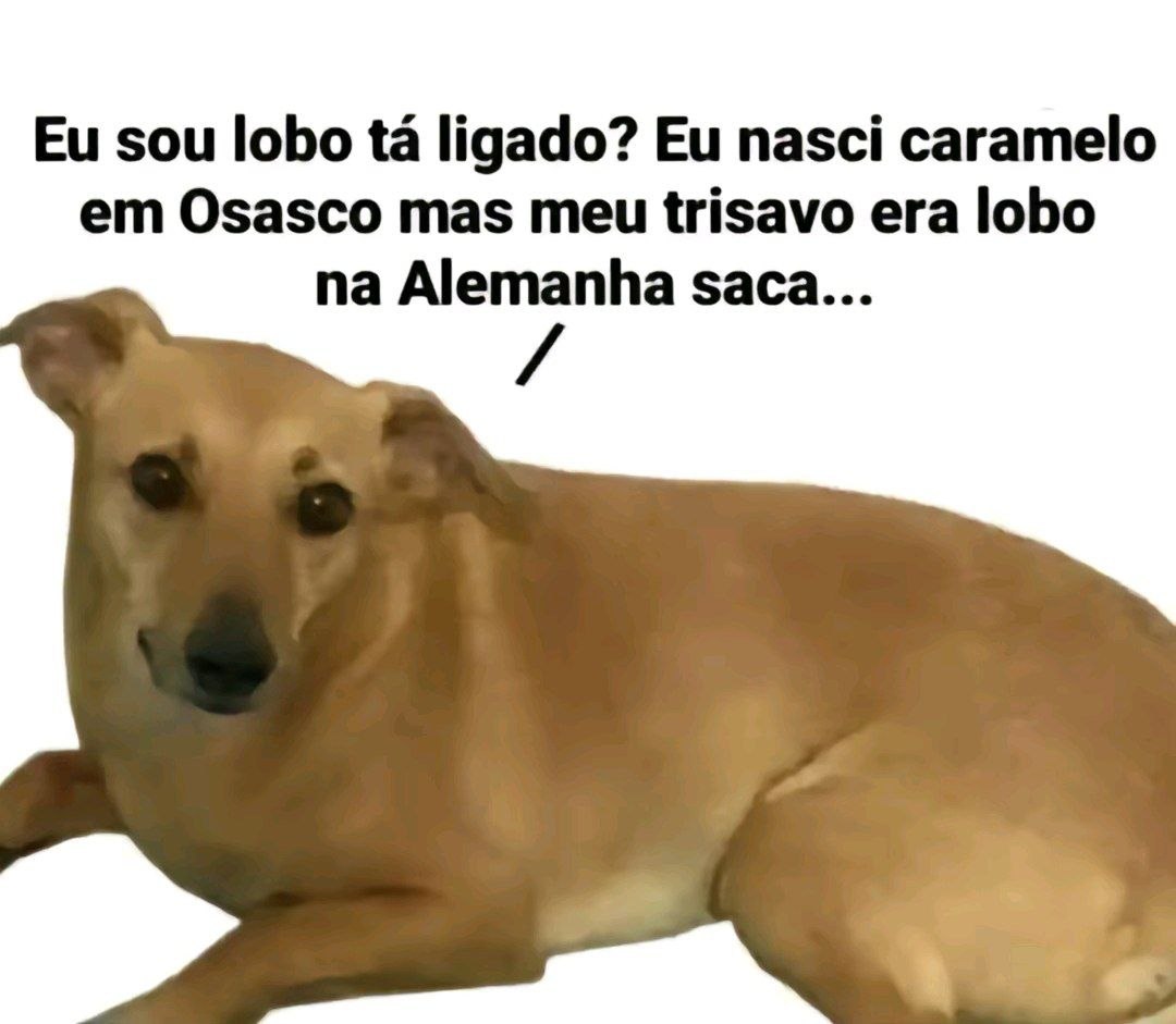 ZanfaVive's tweet photo. Tá ligado? https://t.co/itucbQ0AKh