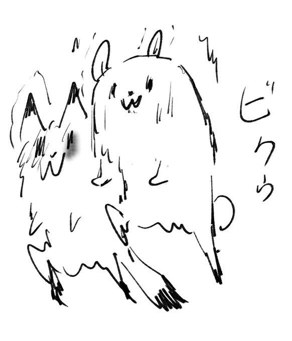 びっくりするクマとタヌキ 