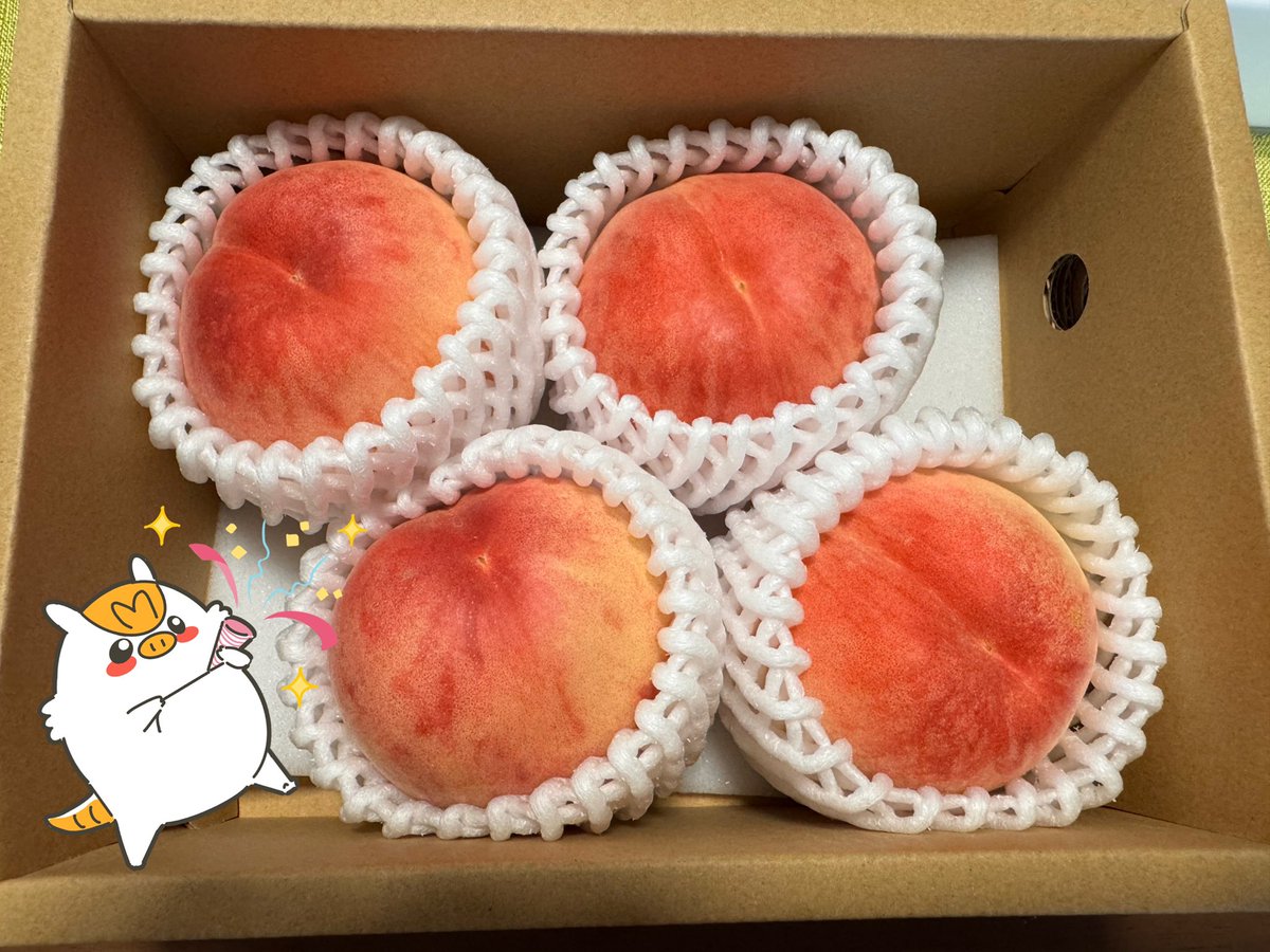 mylogi_AT's tweet photo. おはようロジ😆
7月2日　木曜日　東京は雨☔

今年の梅雨は雨梅雨ロジな〜。
湿度が…😭凹んだ気分を上げるかように、毎年楽しみにしている桃🍑が届いたロジ〜🤤週末の楽しみロジ😊

今日も #mylogi でたくさん出荷のお手伝いするロジ〜💪

#企業公式相互フォロー 
#企業公式相互フォロー祭り https://t.co/1tIY5yiK8l