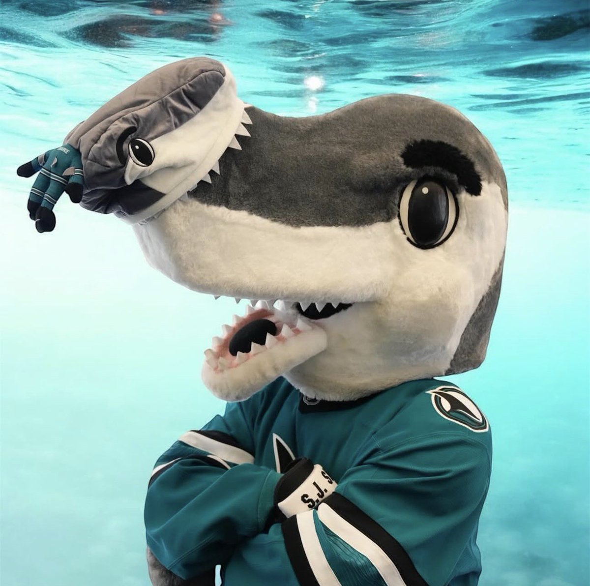 smitty2breezy's tweet photo. 🚨TRADE || San Jose Shark’s beloved mascot, S.J. Sharkie, has been traded to the Nashville Predators in exchange for a double chocolate muffin. https://t.co/1LBYkLagzo