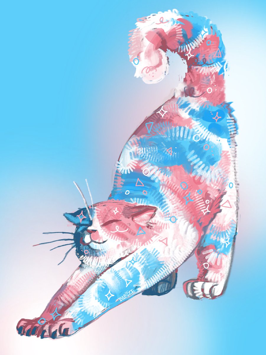 bairtze's tweet photo. gata trans https://t.co/UW3QjBZdhl