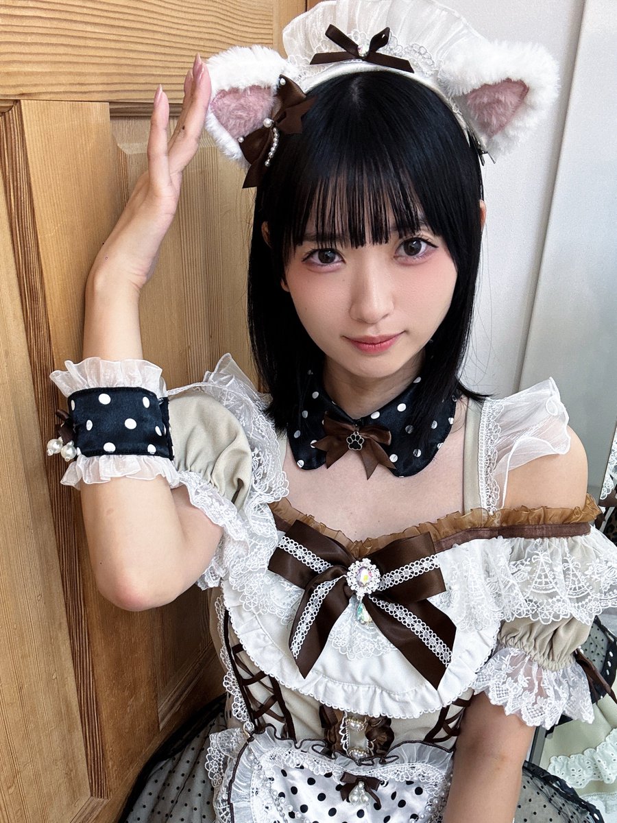 hoshinaharu's tweet photo. にゃ〜ん、おはよう〜 https://t.co/YzOIH4Nk0A
