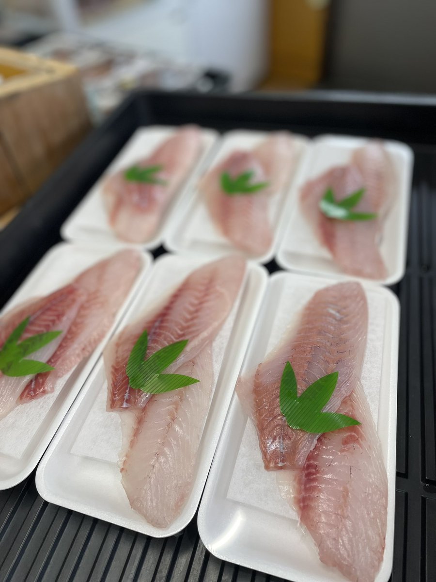On5uHB9pGAWeqCj's tweet photo. キングオブ👑石鯛にメジナのお刺身がお安くてオススメです👍食べた事ない方は食べ比べにいかがでしょうか☺️平目、みかん鯛🍊今日も長崎産���本鮪🐟が旨い日‼️数量限定たっぷり盛り🉐990円❣️今日から岩手県宮古生サーモンに変わります🐟✨色鮮やかでプリプリです👏 https://t.co/u8ZfpIksiG