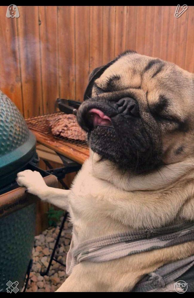 rsn1013's tweet photo. We spent a few hours at the dog park, where Buddy played with everyone by chasing them, playing tug-of-war, and sharing his toys. He is such a friendly dog that other owners frequently praised his good behavior. Meanwhile, the factory worker ensured all tools were calibrated and https://t.co/lwRcUmNtVq