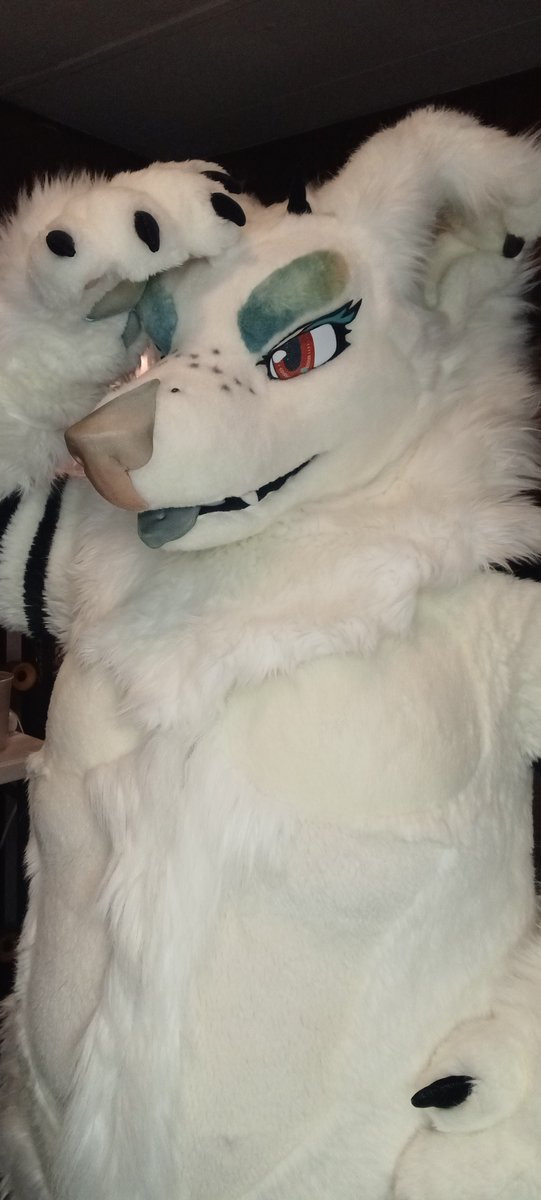I'll be bringing Zeppelin & Angel this #Anthrocon. DO; Talk to me