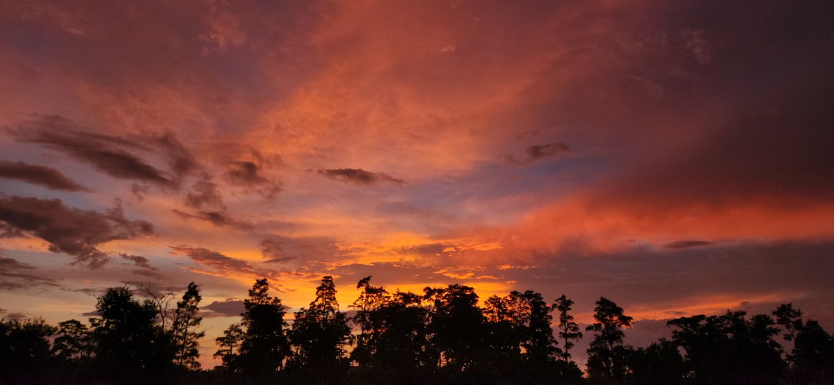rkymtnman1981's tweet photo. The sky is absolutely on fire tonight. ๐ฅ๐
Nothing beats a dramatic sunset casting gold and crimson over the trees. #Sunset #BrandonFL #Flwx
@bn9weather
@mcclureWX
@Mike_Clay https://t.co/YjXPsscRQ5