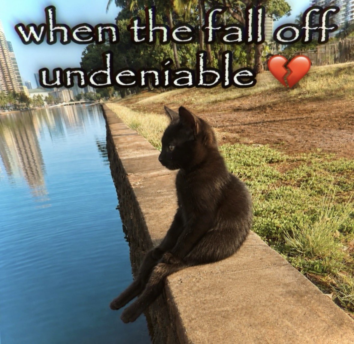 literallymecats's tweet photo. https://t.co/K5bQ9FpaIX