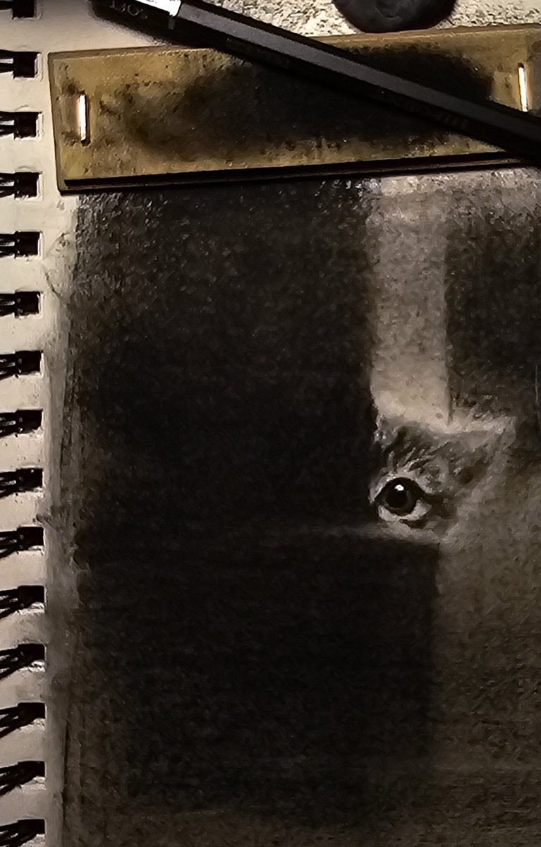 N93_16's tweet photo. #art #charcoal #cats #drawing #رسم https://t.co/ZOsuK5obSP