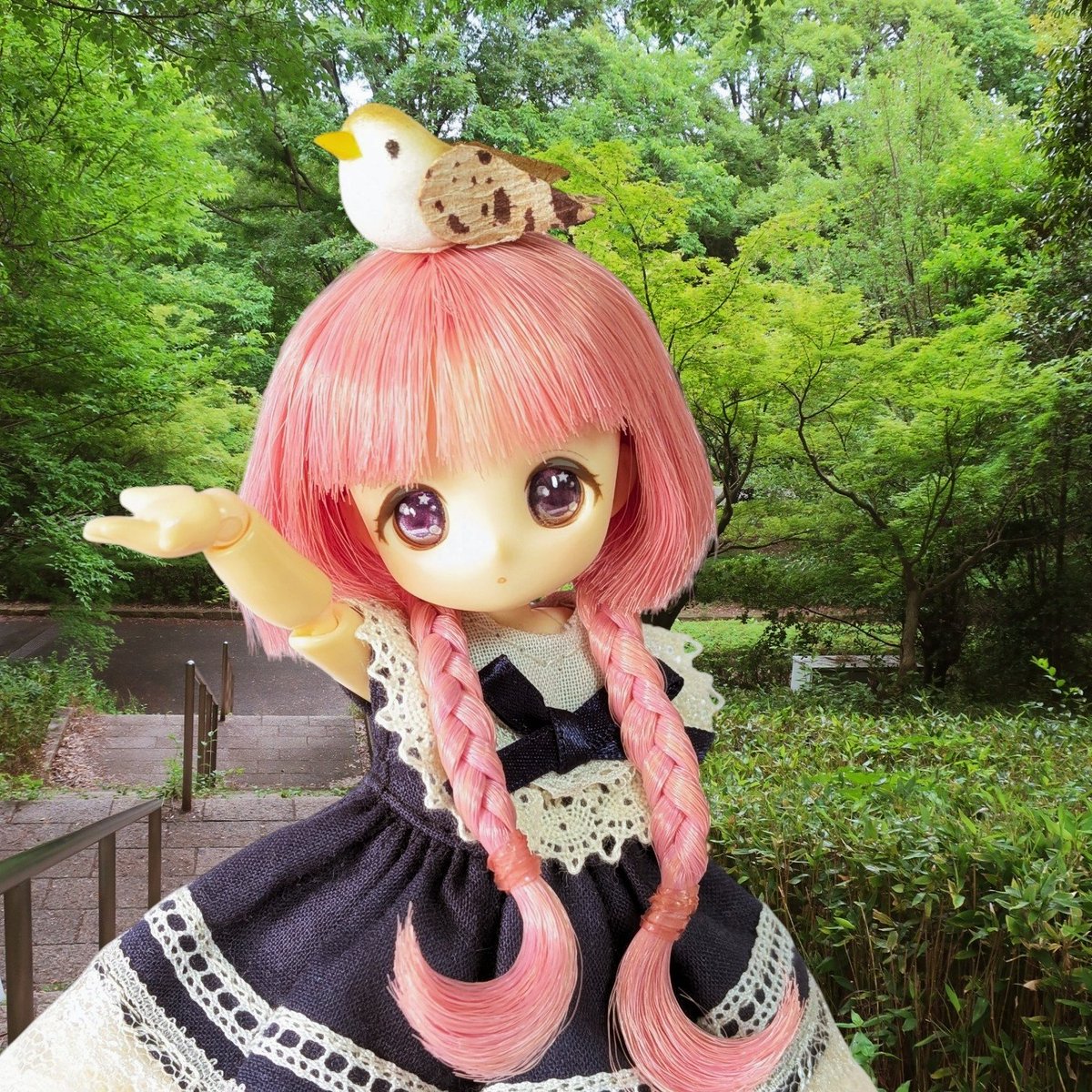 ドール