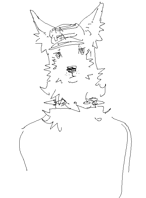 scr4tched's tweet photo. coyote https://t.co/FRQnWzMxQB