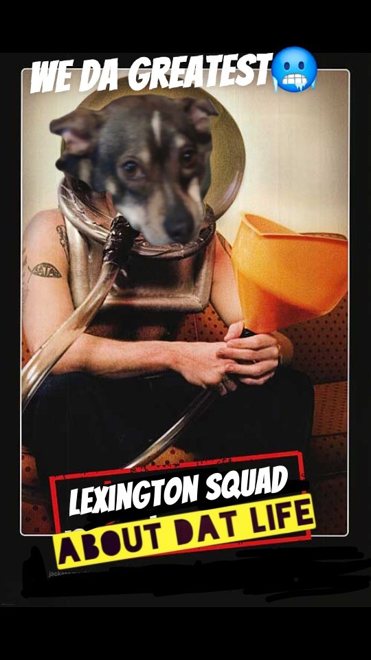 LexingtonSquad's tweet photo. We Da Greatest
🥶🥶🥶🥶🥶
@BillyMurray212  @DisDogJuice 
@Riqhavoc45  @GthunderThaGod 
#Birdman #lexingtonsquad
#bigmovestocome https://t.co/iqETKsgnvR