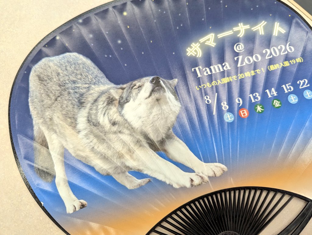 tamazoowalking's tweet photo. 可愛過ぎるうちわ爆誕です😇😍🐺
#多摩動物公園 #タイリクオオカミ #カヨラン https://t.co/WI2m7w95LC