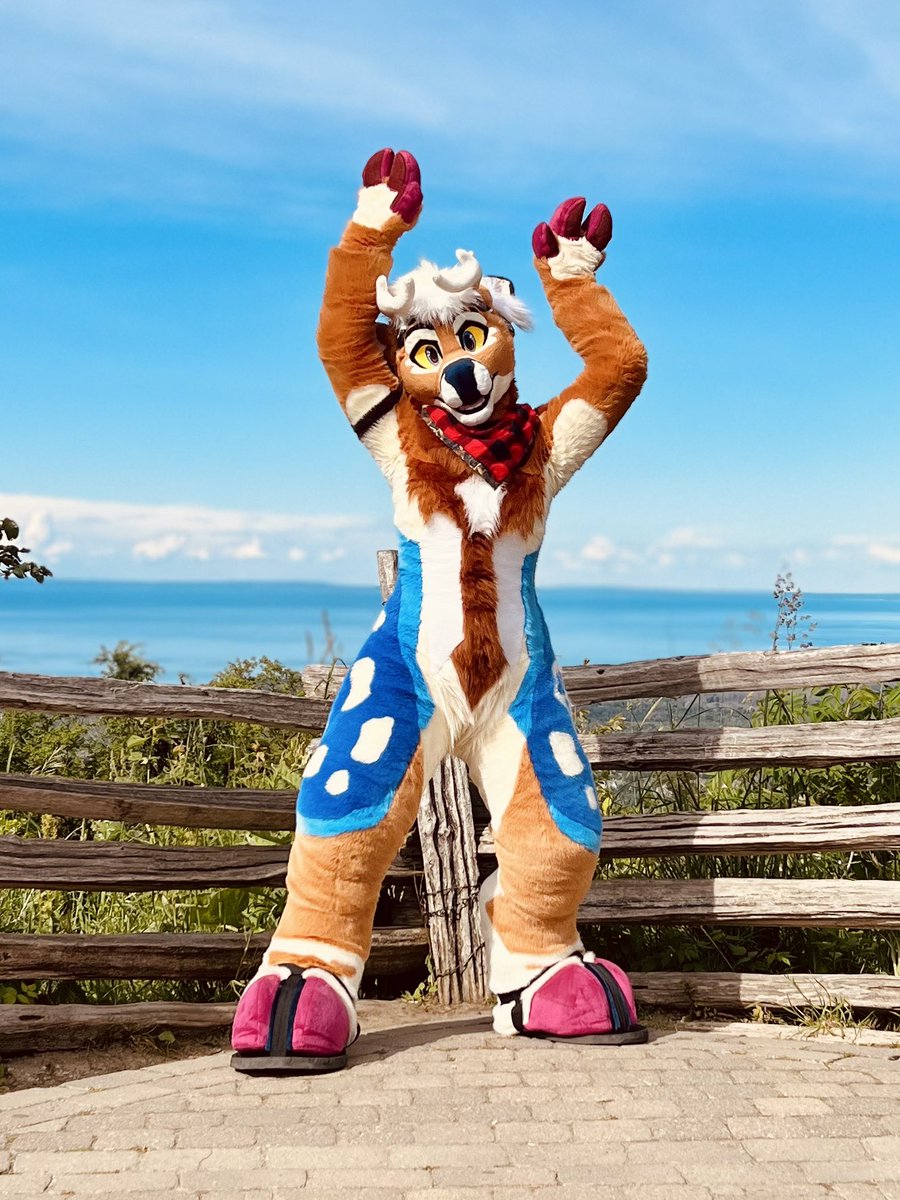 MojoYote tweet picture
