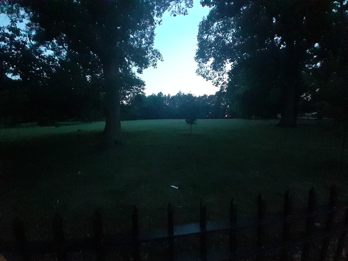 55pines's tweet photo. Sunset here at Bird Park. https://t.co/mgVYExyay4
