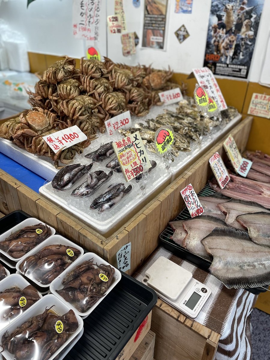 On5uHB9pGAWeqCj's tweet photo. 小さな店でなかなか自家茹で毛蟹🦀作れませんがどうぞよろしくお願い致します🙇俺のゴロ炊き自家製干物は2種🐟✨おいらん子持ちの特大で旨いです😋メヒカリ🐟👍にドデカ生牡蠣🦪✨はとにかく味が良くて身入り抜群です🙌本日もご来店お待ちしております🌈 #登別 #まるひろ伊藤水産 #魚屋 #干物 #毛蟹 https://t.co/OlSymCKpkG
