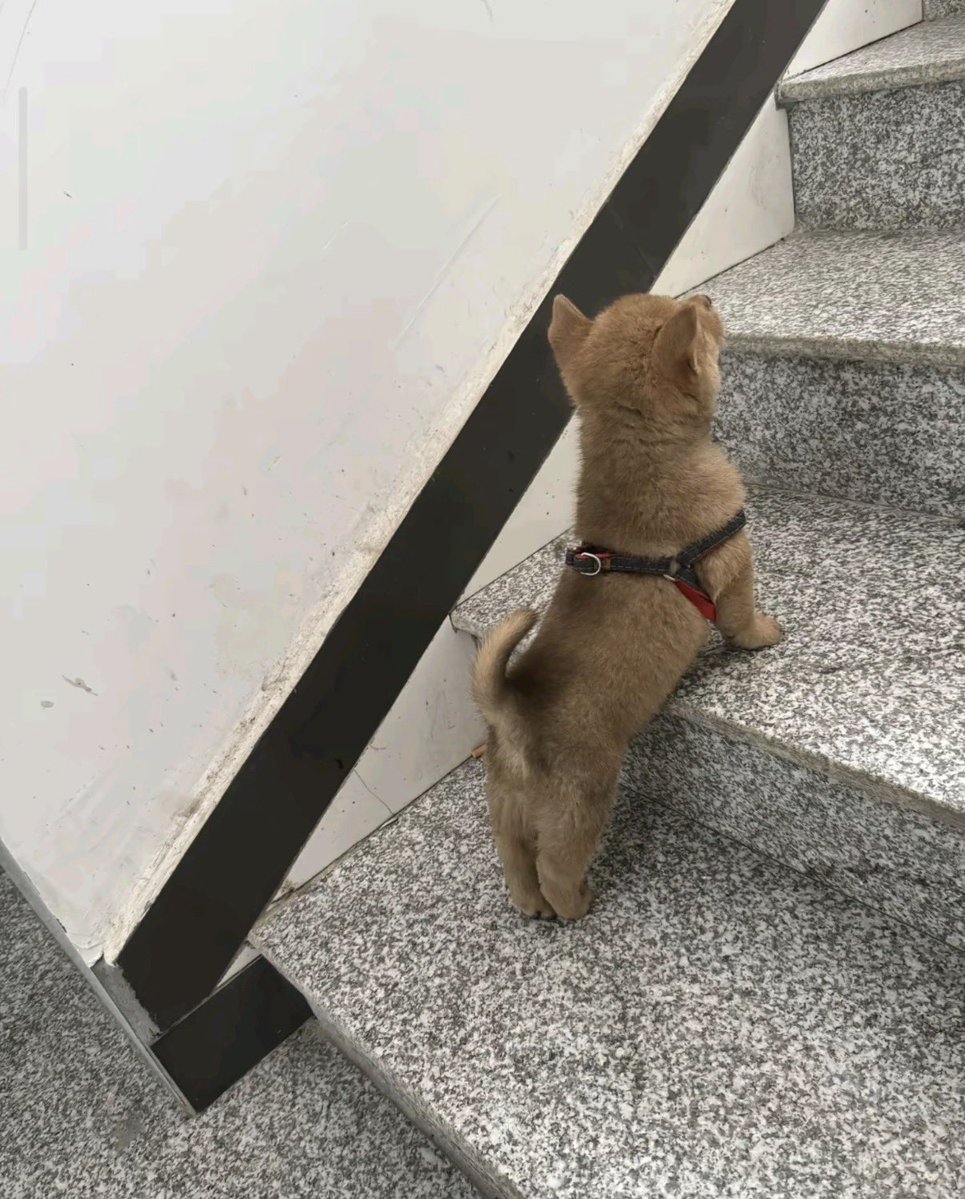 twaniimals's tweet photo. https://t.co/jvqlWh30eU