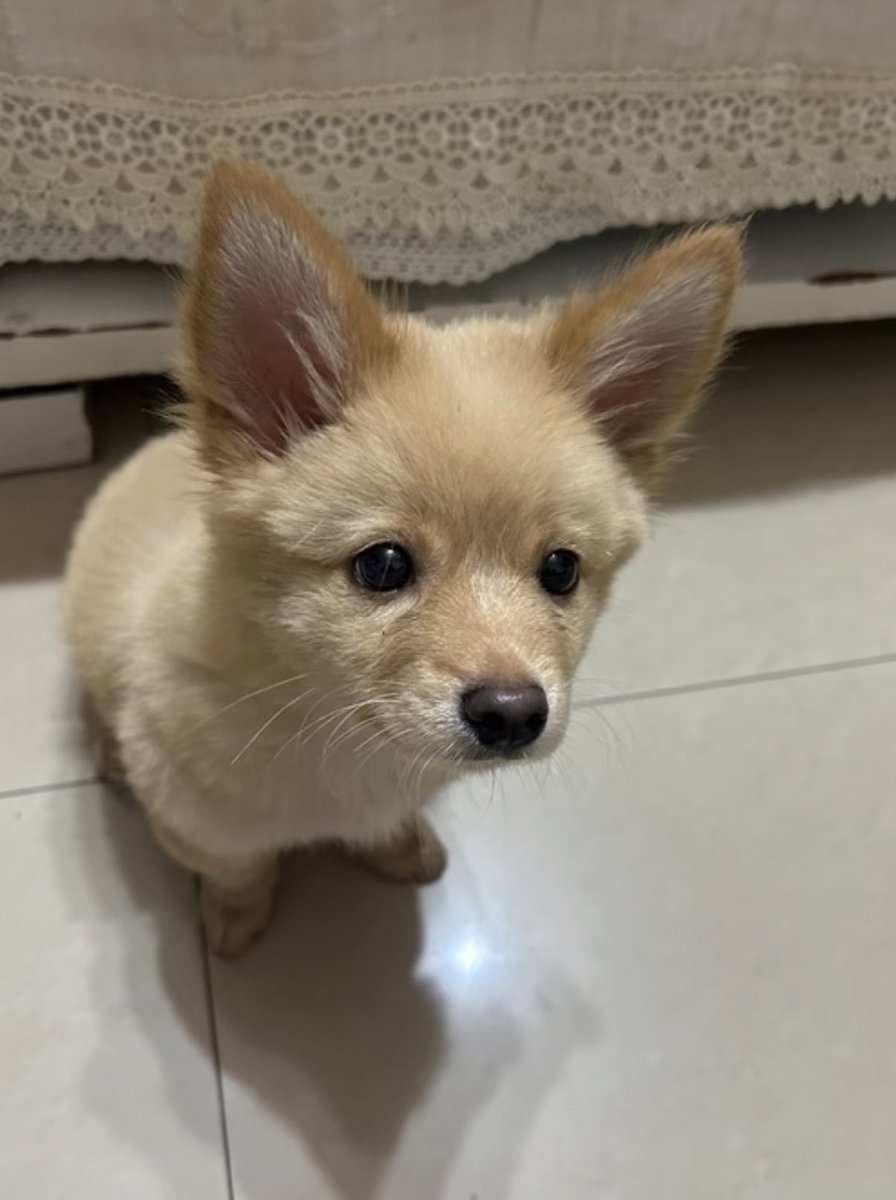 twaniimals's tweet photo. https://t.co/etZ27NO7AN