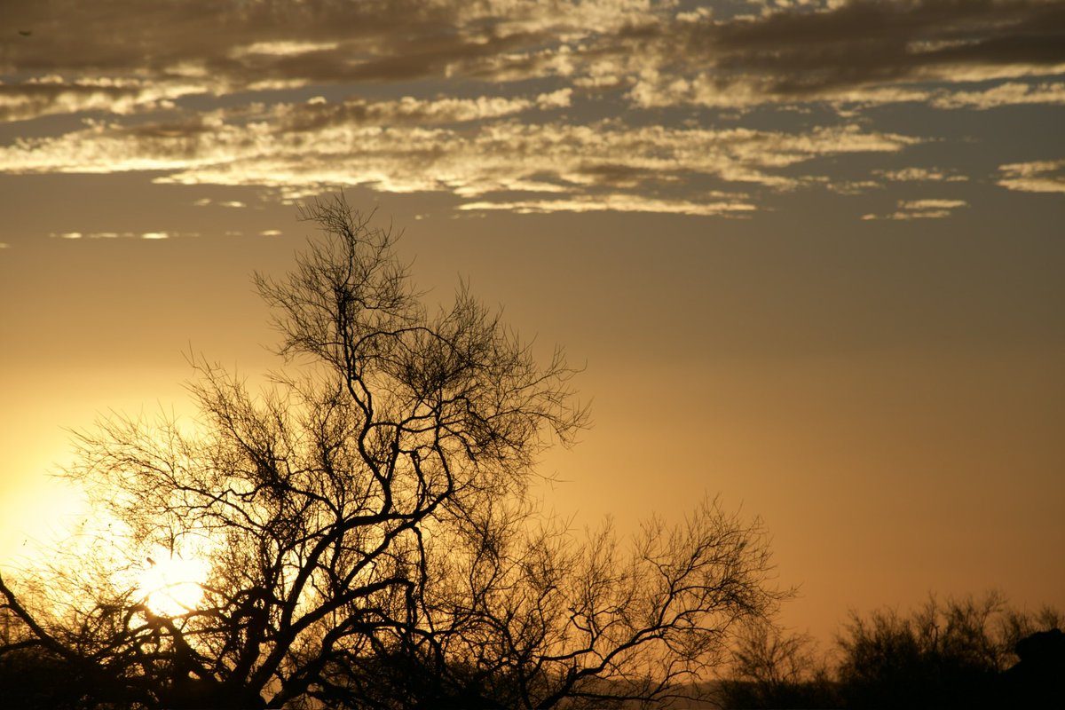 Michael55835458's tweet photo. Arizona sunset
#barrelproofphotography
#TexanStrong
#canonEOS
#sunsets
#arizona https://t.co/lCXnjF8n1j
