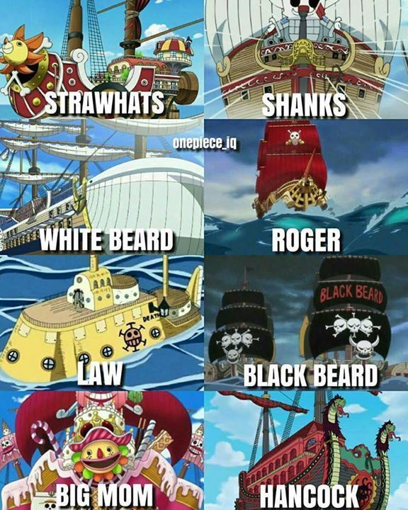 strawhats's tweet photo. https://t.co/tu8vBlGo88
