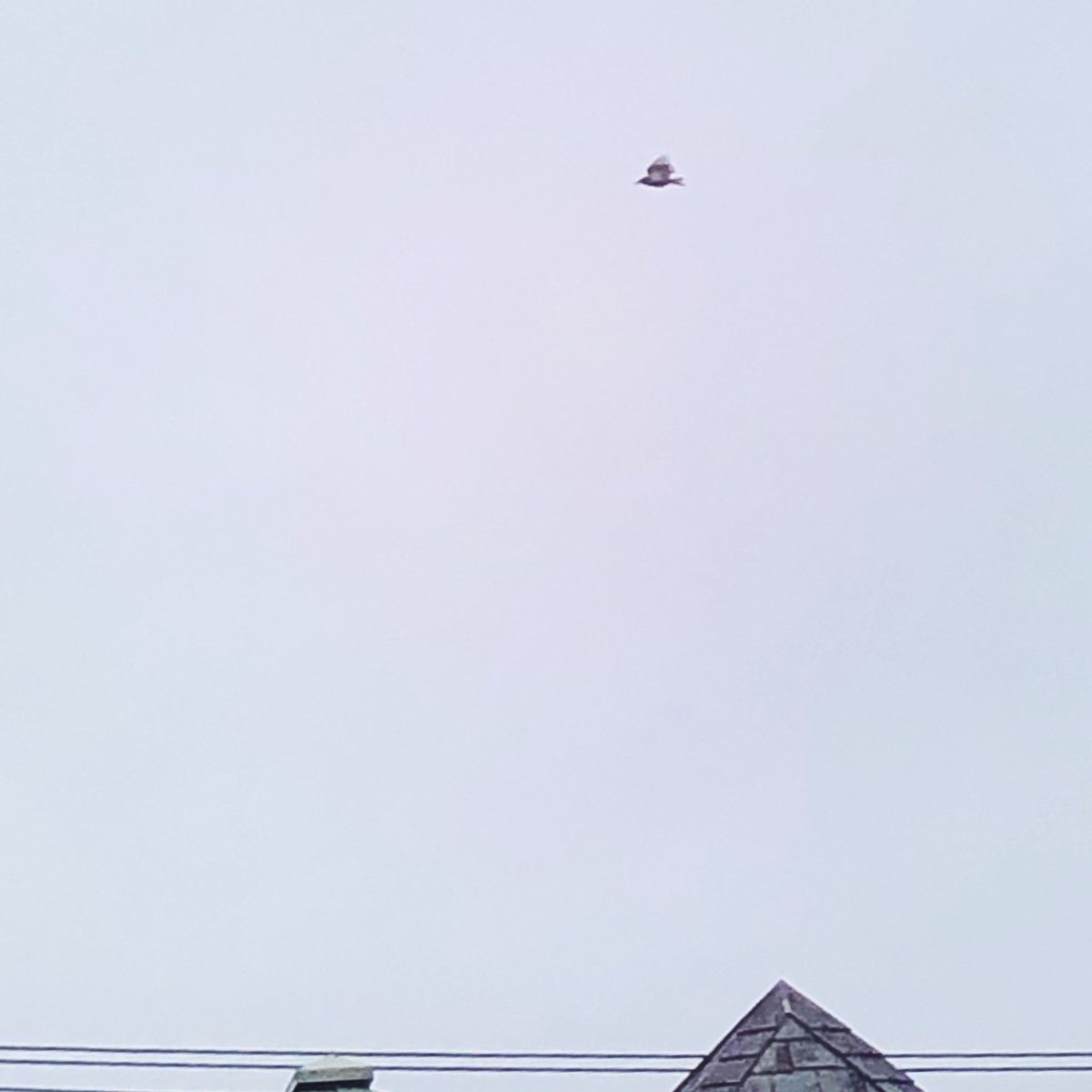 33mihal's tweet photo. おはよう
2026.07.02.
木曜日
雨
#イマソラ
#tokyo https://t.co/cQLZ7abkgC