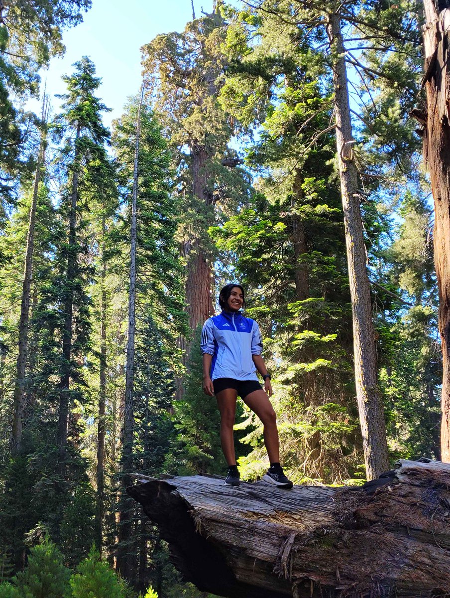 Solic_1's tweet photo. Today I hiked in Sequoia National Park! Home to the largest trees in the world
-
I had a lot of fun going out and swimming with some of my running buddies and little brother! https://t.co/7d5BGOw342