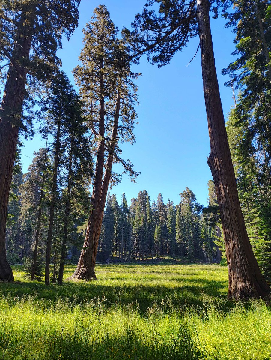 Solic_1's tweet photo. Landscape! https://t.co/LZirnbW22T