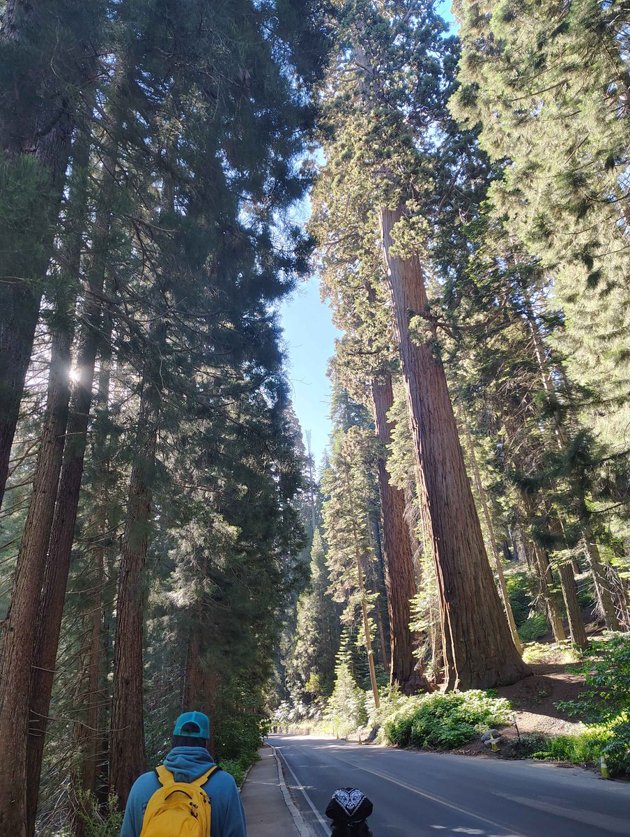 Solic_1's tweet photo. Landscape! https://t.co/LZirnbW22T