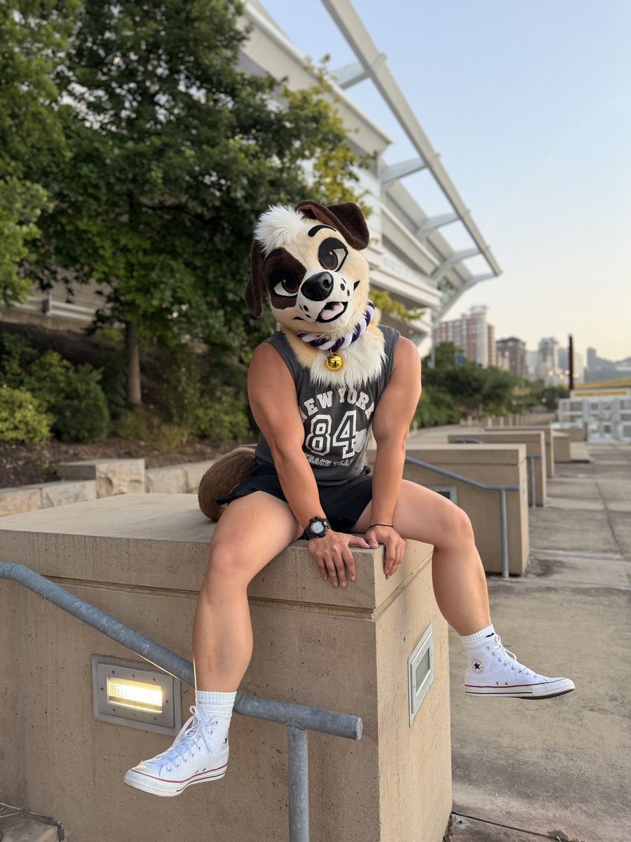 ⭐️Lux⭐️ the 𝗦𝗵𝗼𝗿𝘁𝘀𝘁𝗮𝗰𝗸 tweet media