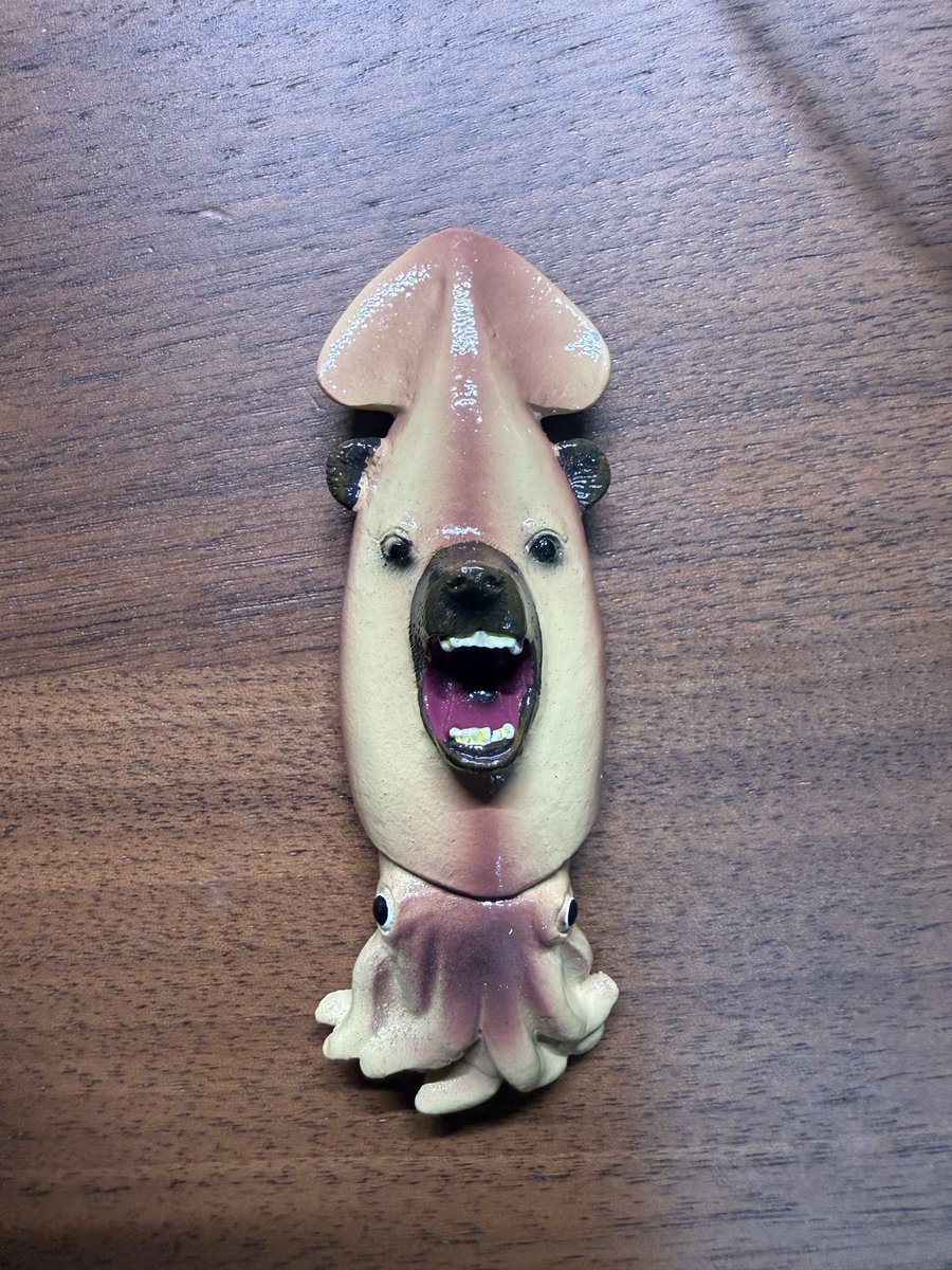 kiduna_counter's tweet photo. @Ponconyan Kusa! Bear squid magnet! https://t.co/oW1PVPCYnp