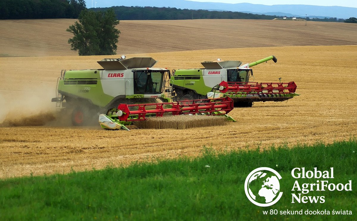 a__chodkowski's tweet photo. Global AgriFood News 🌍🍎(ciąg dalszy)
🚜Ameryka Północna: Administracja prezydenta Trumpa obniżyła cła na maszyny rolnicze. Mimo obniżki eksperci wskazują, że ceny sprzętu dla rolników mogą nadal rosnąć ze względu na szerszą presję kosztów i zakłócenia w łańcuchach dostaw. https://t.co/VepeytgcAr
💵Ameryka Południowa: Brazylia ogłosiła plan kredytowy dla rolnictwa (Plano Safra 2026/27) na poziomie 525,1 mld reali brazylijskich dla sektora komercyjnego. Program ma wspierać produkcję rolną w nadchodzącym sezonie. https://t.co/FdsxKXQRgW
🍾Australia/Oceania: Od 1 lipca 2026 roku wszystkie wnioski o eksport wina z Nowej Zelandii będą obciążone nowymi opłatami administracyjnymi. Zmiana ma na celu pokrycie kosztów obsługi rynku eksportowego. https://t.co/QlqlHasuU9
#GlobalAgriFoodNews #Rolnictwo #AgriFood #BezpieczeństwoŻywnościowe #PolitykaRolna #InnowacjeRolnicze 🚀