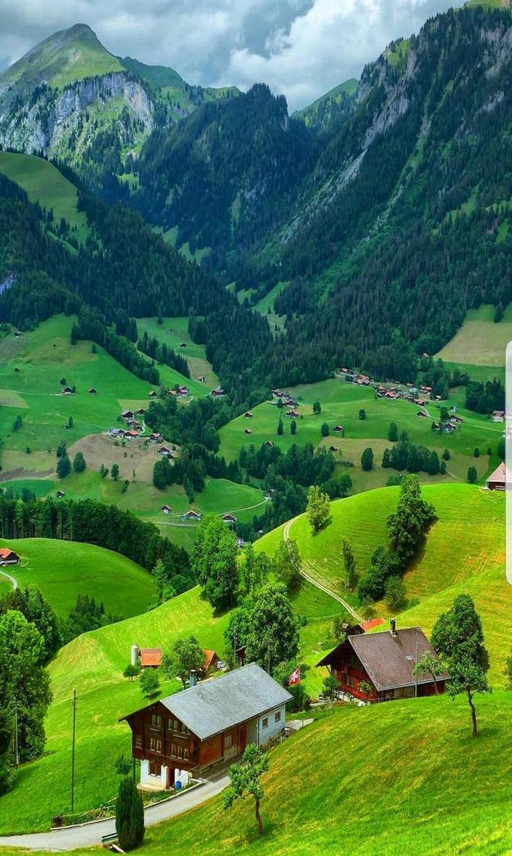 earthwhisperss's tweet photo. Peaceful nature 🍃🌱 https://t.co/5E77gDcxlI