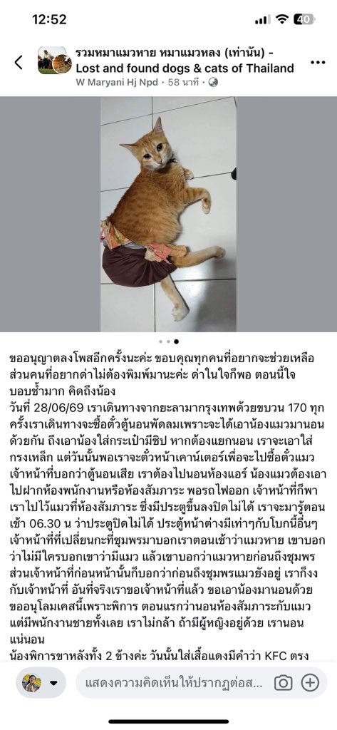 _chachas's tweet photo. เจ้าของโดนคนในกลุ่มต่อว่าเยอะมาก ก่อนจะต่อว่าหรือประณาม ลองมองอีกมุมนะคะ การจะรักและดูแลแมวพิการไม่ใช่เรื่องง่าย การที่เขาพาน้องไปด้วย แปลว่าน้องสำคัญกับเขามาก เขาคงไม่อยากให้น้องหายแน่นอน อัพเดทจากเจ้าของโพสค่ะ #แมวหาย #แมวพิการ https://t.co/wHwdua8NwU