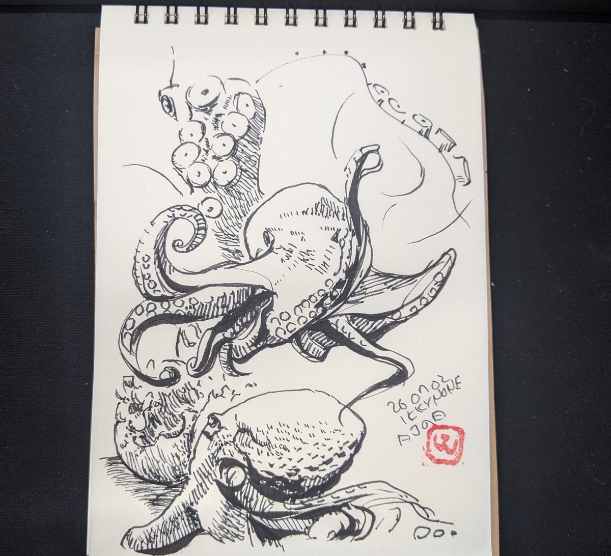 ikky3's tweet photo. タコの日らしいので、
お昼休みにタコ描いた。
あと、最近アップしてなかった絵を
このさいまとめて。 https://t.co/t94lPMLM9K