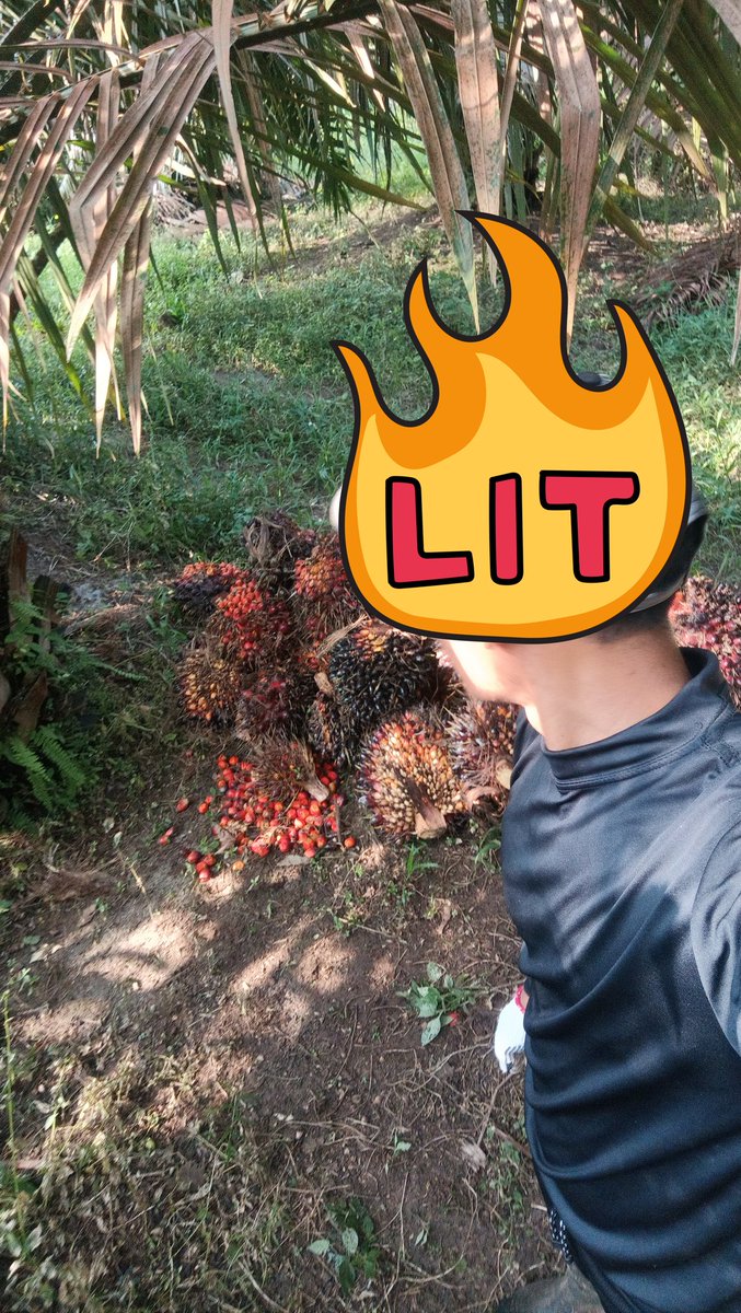 KdekTra's tweet photo. https://t.co/K4LeicU6Tv