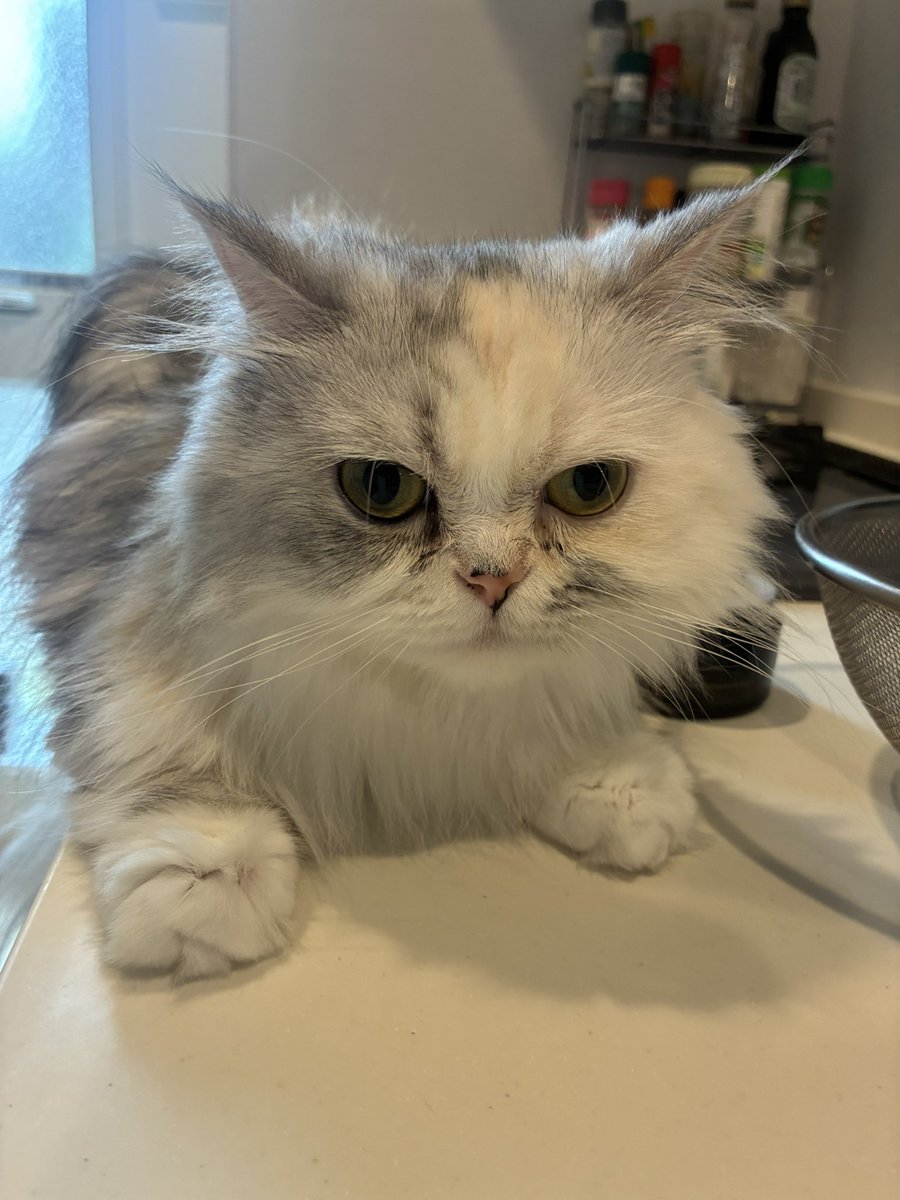ここから避けないぞ！！！