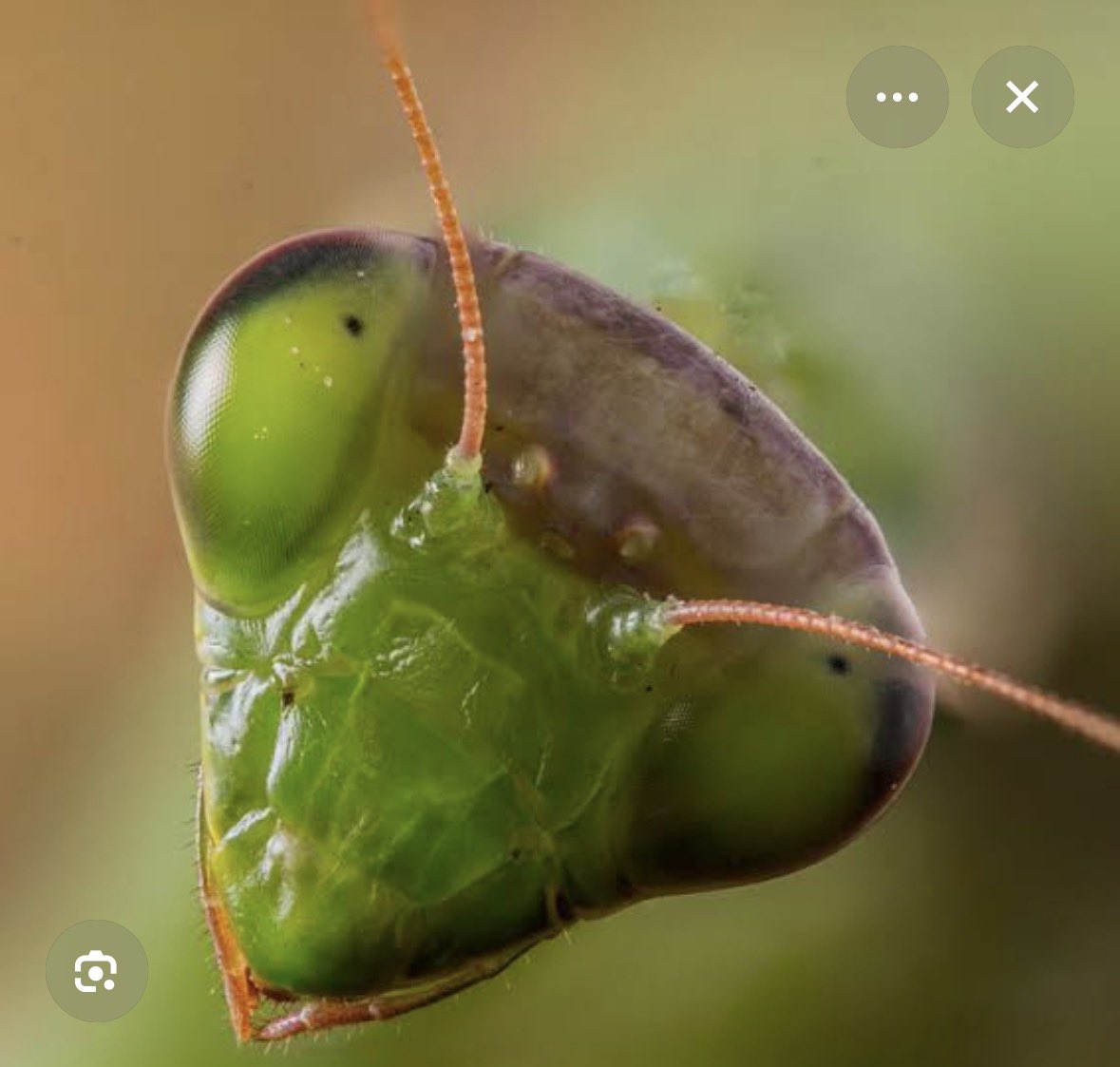 Ashklsov's tweet photo. カマキリみたいな顔してるねWWWWWWWWWWWWWWWWWWWWWWWWWWWWWWWWWWWWWWWWWWWWWWWWWWWWWWWWWWWWWWWWWWWWWWWWWWWWWWWWWWWWWWWWWWWWWWWWWWWWWWWWWWWWWWWWWWWWWWWWWWWWWWWWWWWWWWWWWWWWWWWWWWWWWWWWWWWWWWWWWWWWWWWWWWWWWWWWWWWWWWWWWWWWWWWWWWWWWWWWWWWWWWWWWWWWWWWWWWWWWWWWWWWWWWWWWWWWWWWWWWWWWWWWWWWWW https://t.co/O3B7aeLn4n